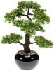 Emerald Kunstplant mini bonsai ficus groen 47 cm 420006 online kopen