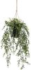 Leen Bakker Boxwood kunst hangplant groen 50 cm online kopen