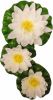 Ubbink 3 delige Waterlelieset Decoratief Wit online kopen