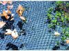 VT 6 x 10 Meter VT Afdeknet Vijvernet online kopen