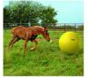 Maximus Power Play Ball Geel Paardenspeelgoed 100 cm online kopen