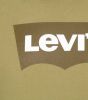 Levi's Standaard grafische hoodie BW Ssnl Hoodie C 38424 0019 , Groen, Heren online kopen