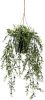 Leen Bakker Boxwood kunst hangplant groen 50 cm online kopen
